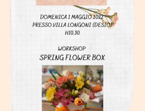 Flower Workshop